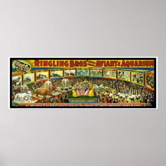Poster Ringling Brothers Circus "Vogel- en Aquariu (Voorkant)