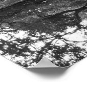 poster rivierbomen (Hoek)