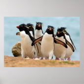 Poster Rockhopper Penguins van 8.99 (Voorkant)