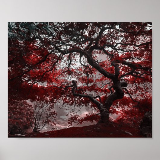 Poster Rode Cherry Blossom Tree (Voorkant)