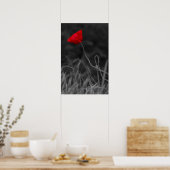 Poster Rode Klaproos Bloem (Keuken)