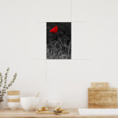 Poster Rode Klaproos Bloem (Keuken)