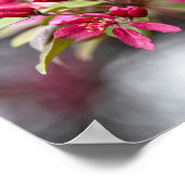 Poster Rode krab Apple Flowers (Hoek)