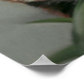 Poster Rode panda-pasta voor het schilderen van ku (Hoek)