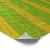 Poster rode papegaai (Hoek)