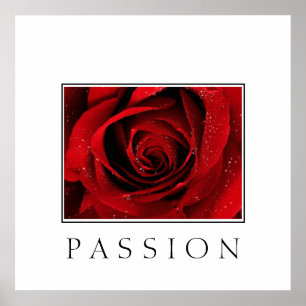 Poster-Rode Rose-Passie Poster