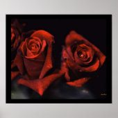 Poster rode rozen (Voorkant)