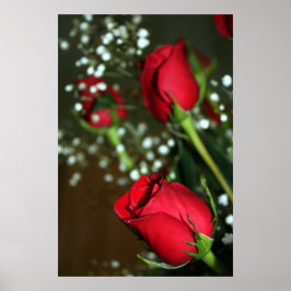 Poster rode rozen