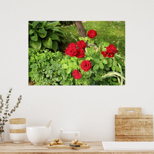 Poster rode rozen (Keuken)