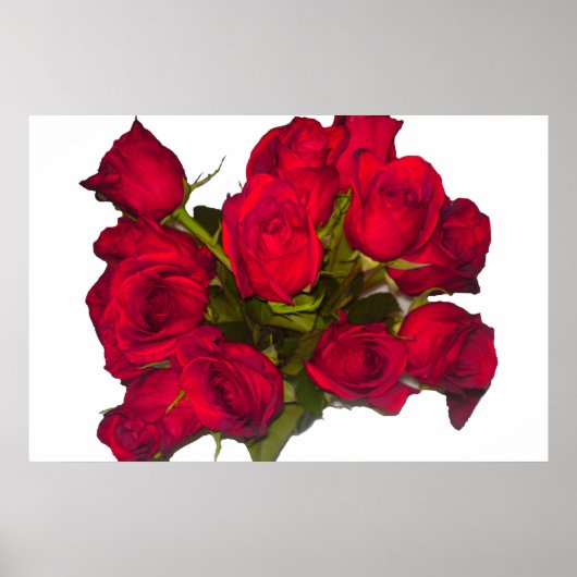 Poster rode rozen (Voorkant)