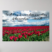 Poster rode tulpen (Voorkant)