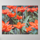 Poster rode tulpveld (Voorkant)