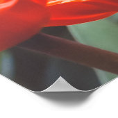 Poster rode tulpveld (Hoek)