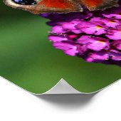 Poster rode vlinder en bloemen (Hoek)