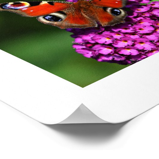 Poster rode vlinder en bloemen (Hoek)