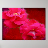 Poster romance en rode rozen (Voorkant)