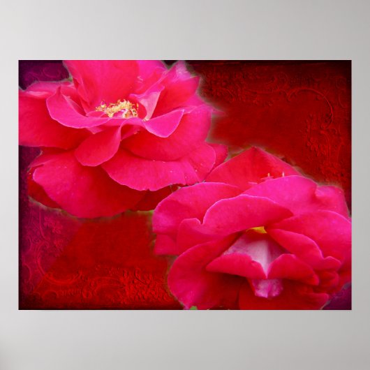 Poster romance en rode rozen (Voorkant)