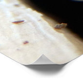 Poster rondom de kop (Hoek)