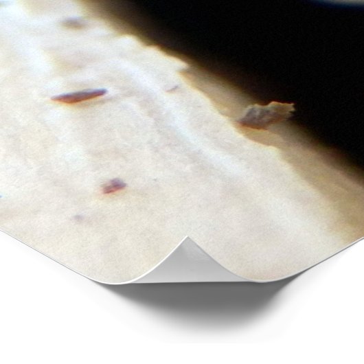 Poster rondom de kop (Hoek)