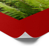 Poster rood (18 x 24 inch) De bloeiende ubud Bali (Hoek)