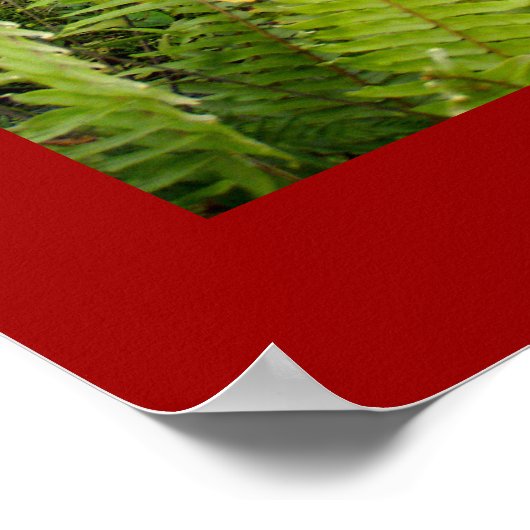 Poster rood (18 x 24 inch) De bloeiende ubud Bali (Hoek)