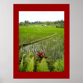 Poster rood (18 x 24 inch) De bloeiende ubud Bali