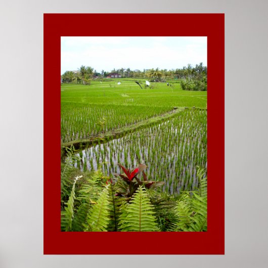 Poster rood (18 x 24 inch) De bloeiende ubud Bali (Voorkant)