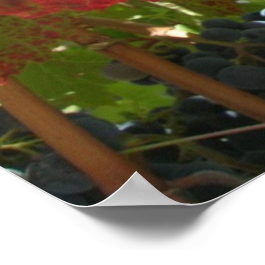 Poster - Rooddruivenblad voor wijnstokken (Hoek)