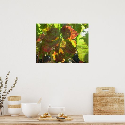 Poster - Rooddruivenblad voor wijnstokken (Keuken)