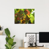 Poster - Rooddruivenblad voor wijnstokken (Thuiskantoor)