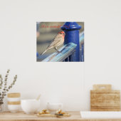 Poster - Roodkopmus op hek (Keuken)