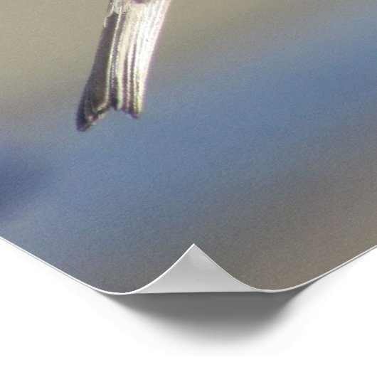 Poster - Roodkopmus op hek (Hoek)