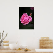 Poster Roos Bloem Natuur Fotografie (Keuken)