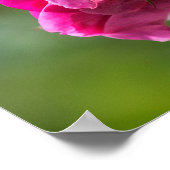 Poster Roos - Magenta Grace (Hoek)