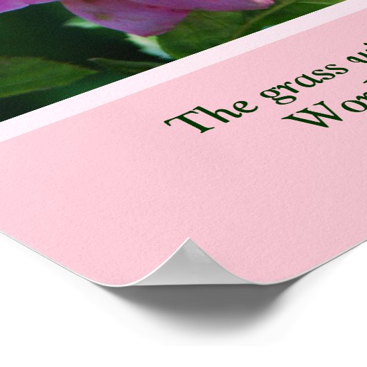 Poster roos met Bijbelversie (Hoek)