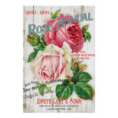 Poster  Roos zaadcatalogus (Voorkant)