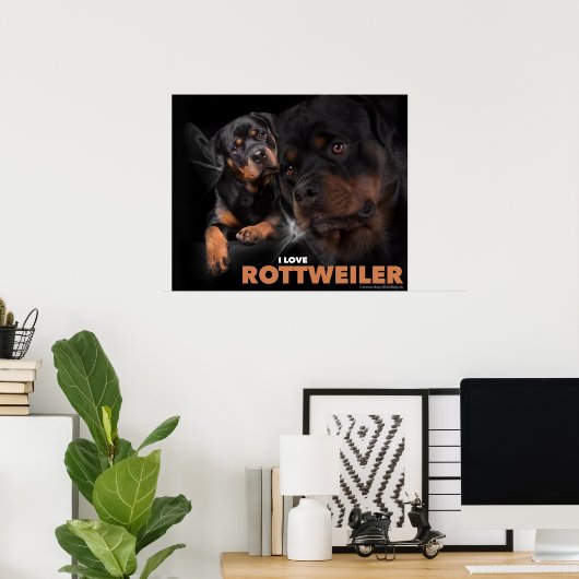 Poster Rottweiler (Thuiskantoor)
