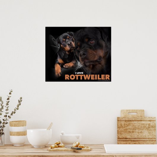 Poster Rottweiler (Keuken)