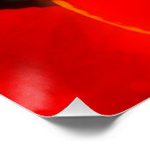 Poster Royal Poinciana (Hoek)