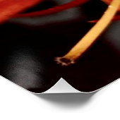 Poster Royal Poinciana (Hoek)