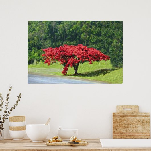 Poster Royal Poinciana (Keuken)