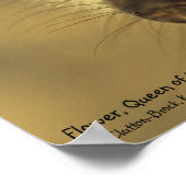 Poster - Royal Whiskers Collectie (Hoek)