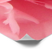 Poster roze anjer dicht bij elkaar (Hoek)