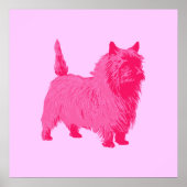 Poster Roze Caïro Terrier (Voorkant)