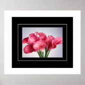 Poster-Roze Calla Lilies Poster (Voorkant)