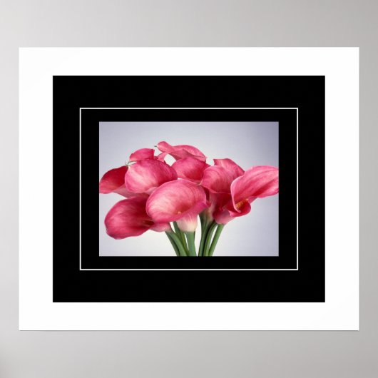 Poster-Roze Calla Lilies Poster (Voorkant)