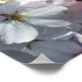 Poster Roze Cherry Blossom Flowers (Hoek)