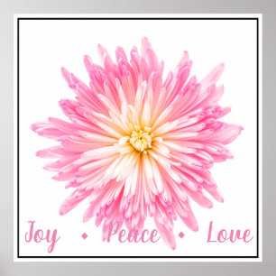 Poster-Roze Dahlia Poster