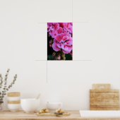 Poster Roze Geranium Bloemen Fotografie (Keuken)