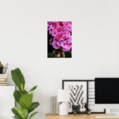 Poster Roze Geranium Bloemen Fotografie (Thuiskantoor)